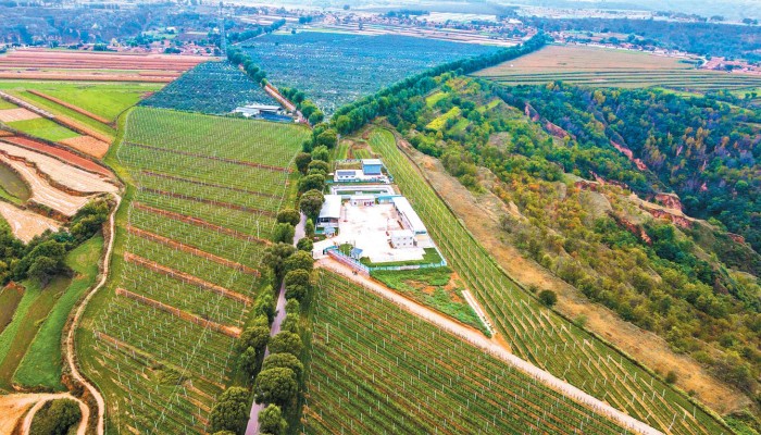 乘風(fēng)破浪會有時(shí) 策馬揚(yáng)鞭再奮蹄——甘肅建投生態(tài)公司拓市場、強(qiáng)管理、謀發(fā)展紀(jì)實(shí)