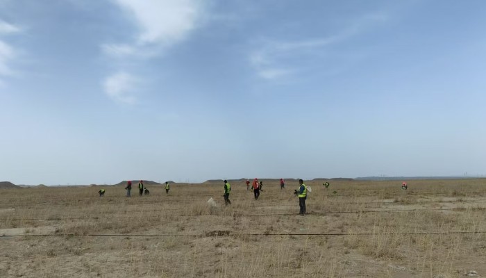 【“三抓三促”行動(dòng)】不負(fù)春日好時(shí)光，全力沖鋒“三北”建設(shè)