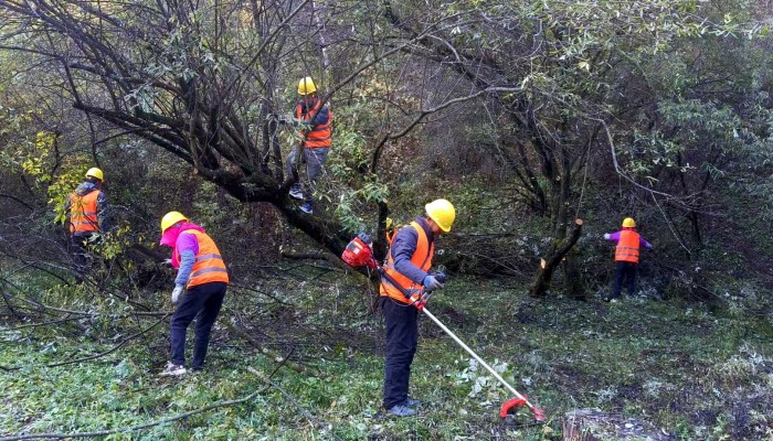 莊浪造林正當(dāng)時(shí)：生態(tài)公司奏響“三北”工程生態(tài)修復(fù)新樂(lè)章