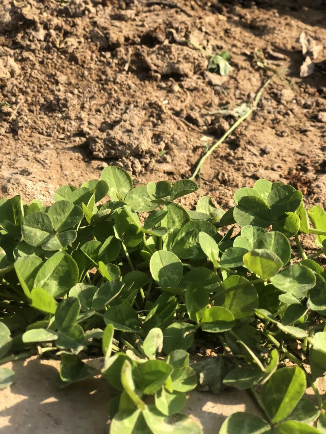 1588928326463581.jpg 微信圖片_20200508164621.jpg