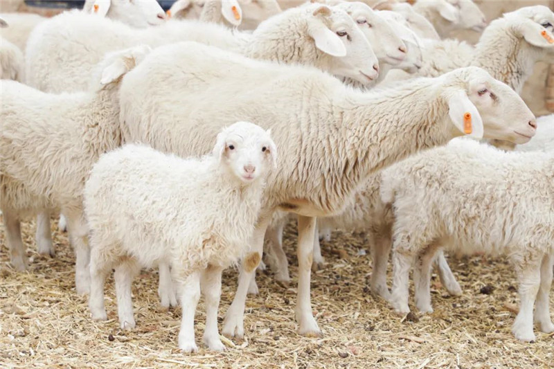 640 (14).jpg 640 (14).jpg