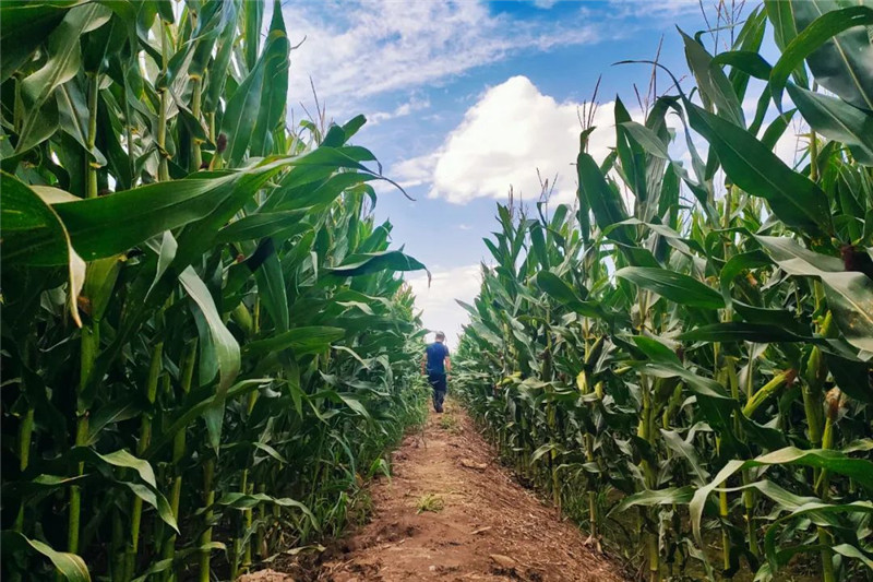 640 (1).jpg 640 (1).jpg